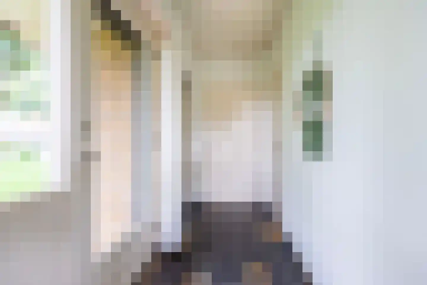 den Dam 25 Breedenbroek thumbnail 19