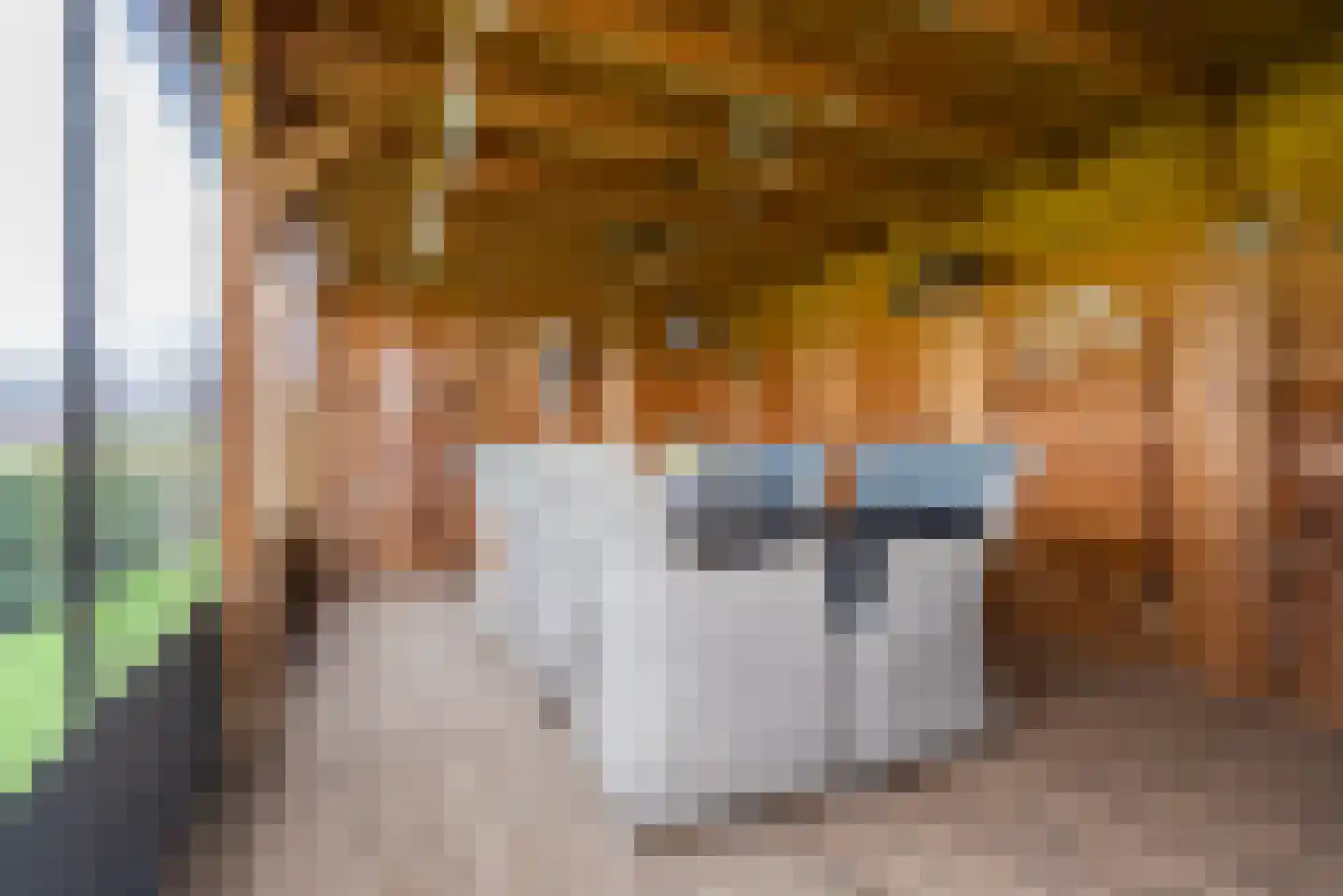 den Dam 25 Breedenbroek thumbnail 33