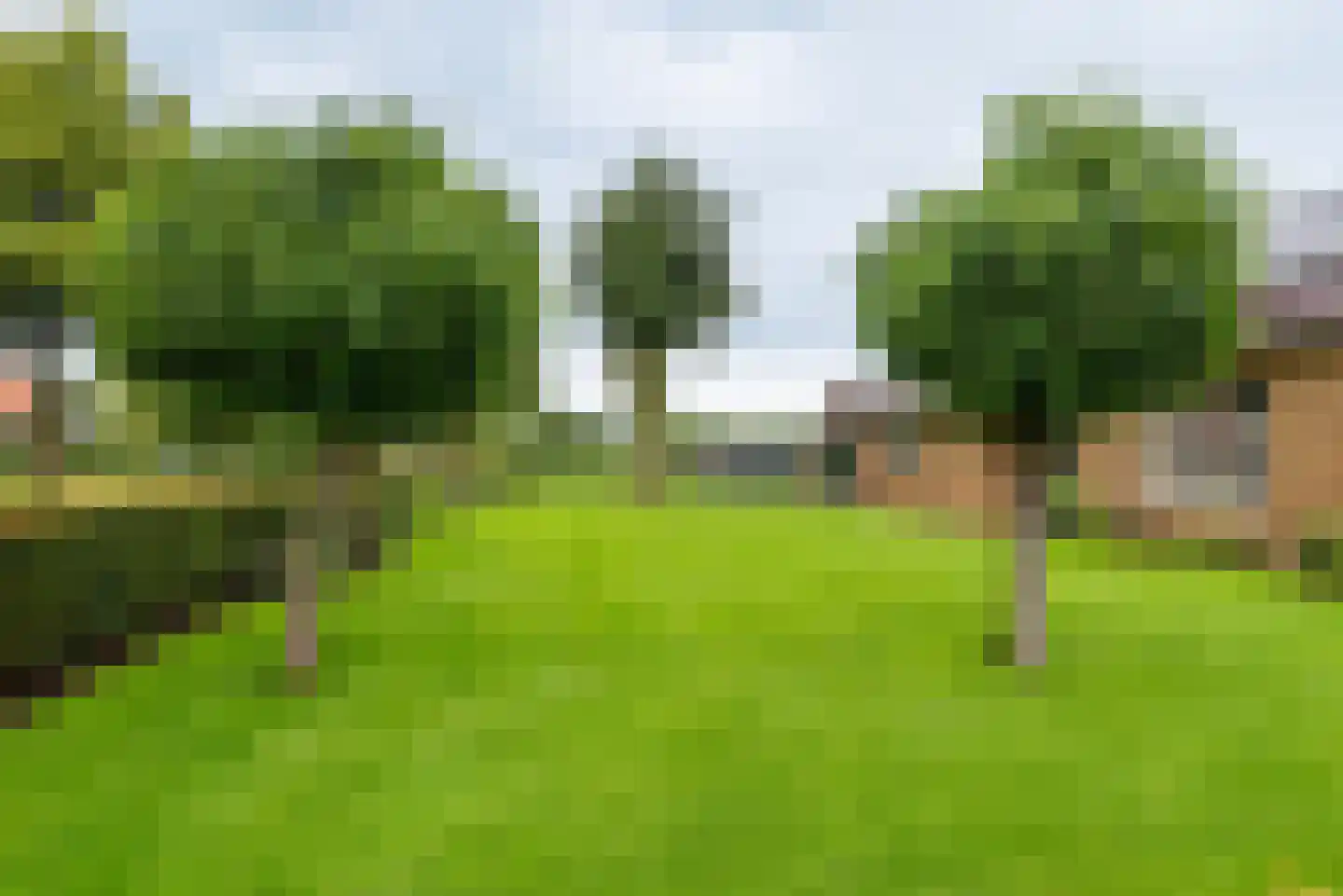 den Dam 25 Breedenbroek thumbnail 37