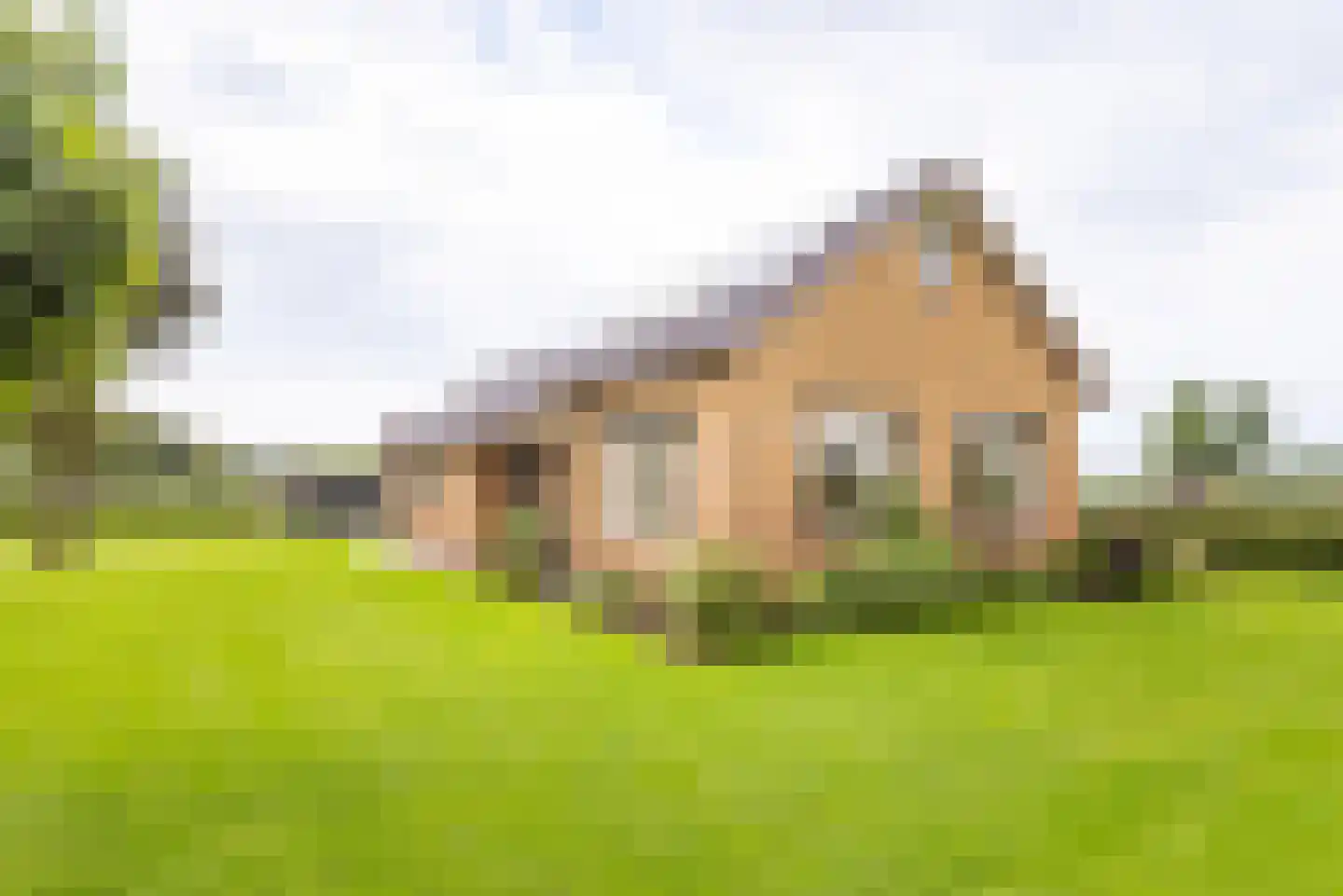den Dam 25 Breedenbroek thumbnail 39
