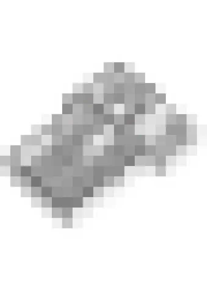 den Dam 25 Breedenbroek thumbnail 63