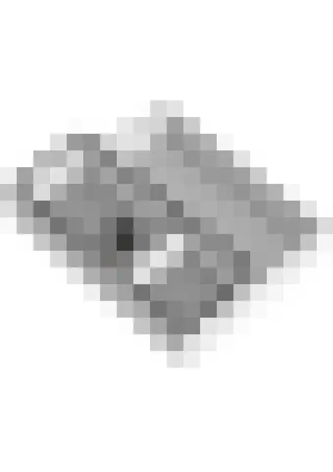 den Dam 25 Breedenbroek thumbnail 65