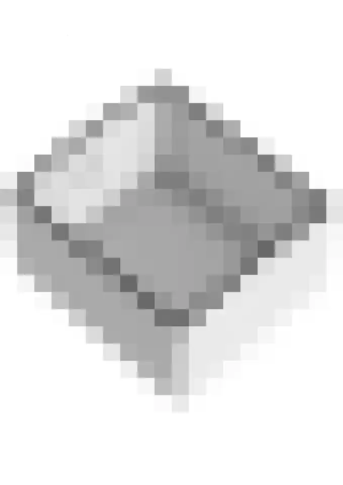 den Dam 25 Breedenbroek thumbnail 69