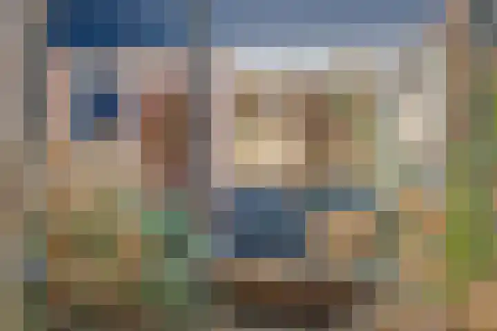 den Dam 6 Roden thumbnail 10