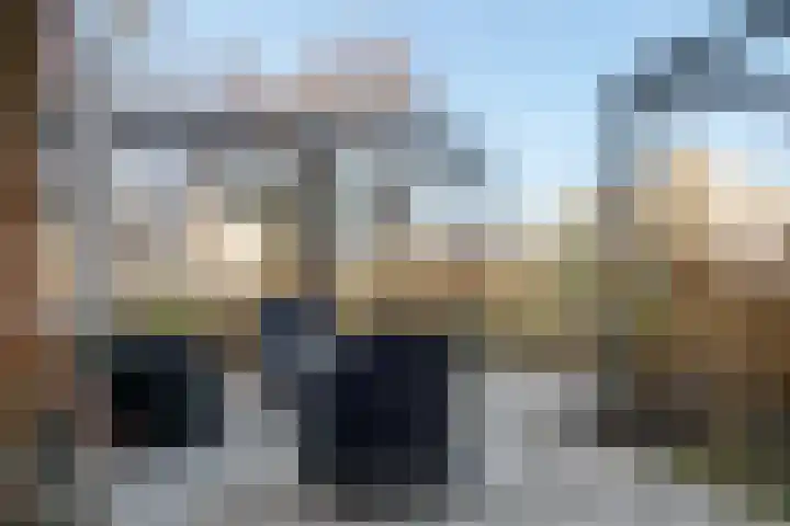 den Dam 6 Roden thumbnail 11