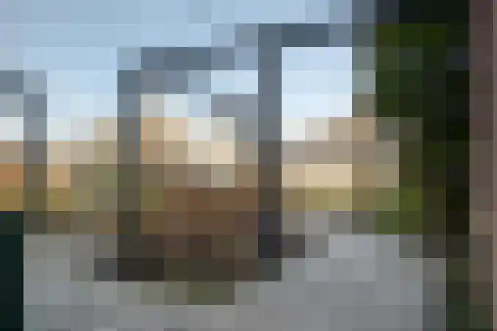 den Dam 6 Roden thumbnail 12