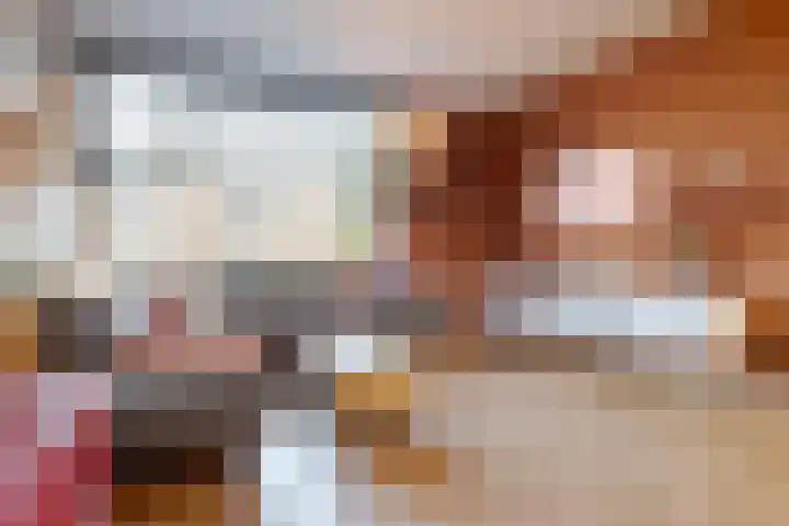 den Dam 6 Roden thumbnail 16