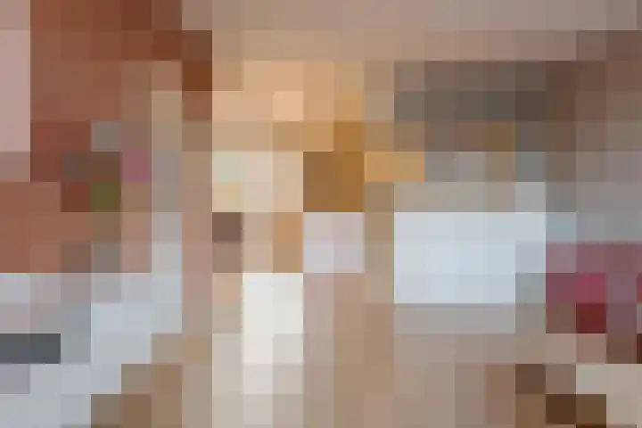 den Dam 6 Roden thumbnail 18