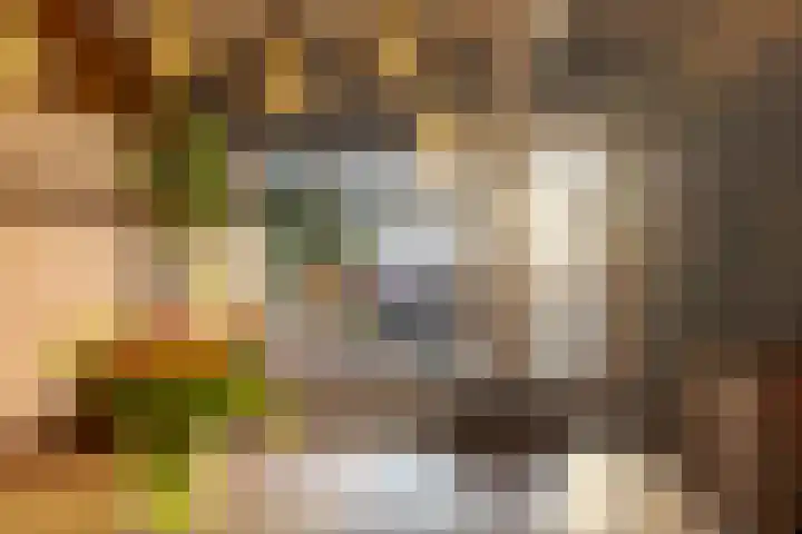 den Dam 6 Roden thumbnail 21