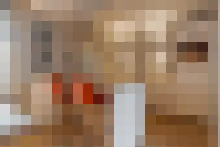 den Dam 6 Roden thumbnail 22