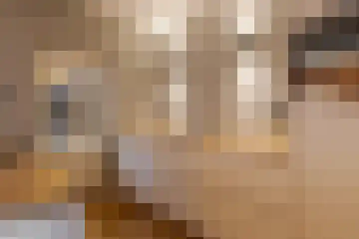 den Dam 6 Roden thumbnail 23