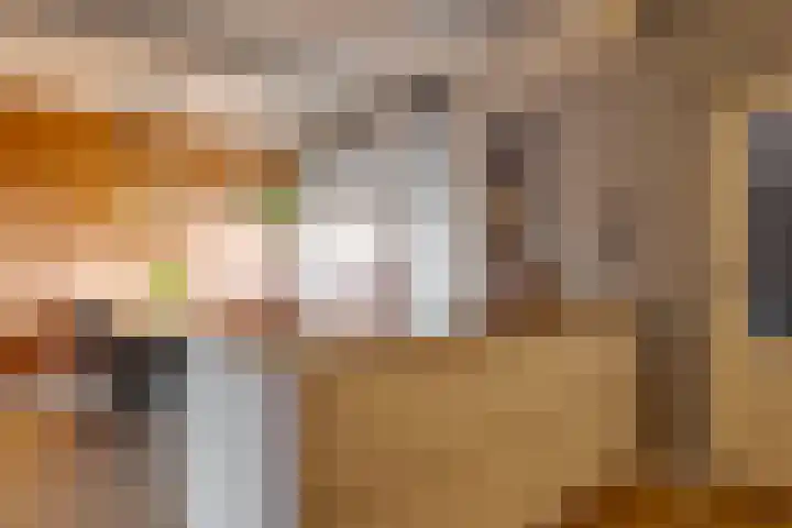 den Dam 6 Roden thumbnail 24