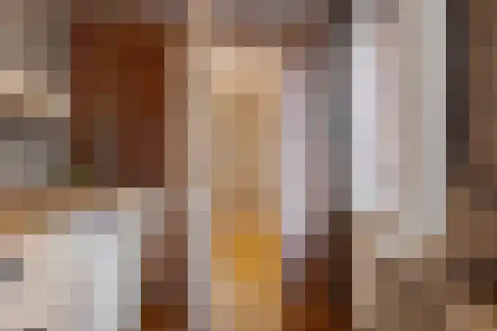 den Dam 6 Roden thumbnail 29
