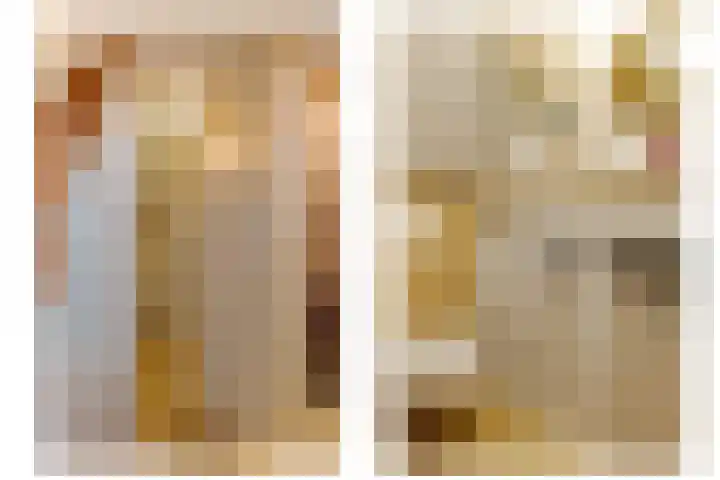 den Dam 6 Roden thumbnail 30