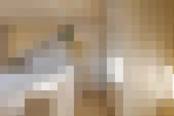 den Dam 6 Roden thumbnail 34