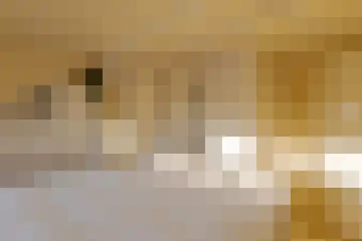 den Dam 6 Roden thumbnail 35