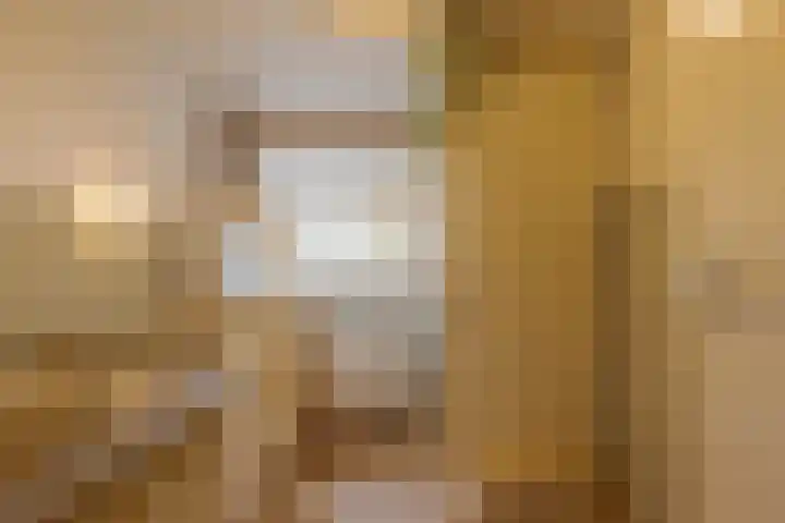 den Dam 6 Roden thumbnail 37