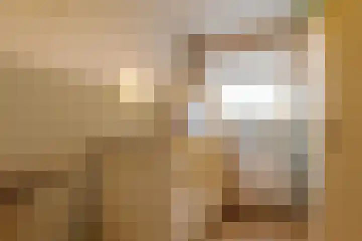 den Dam 6 Roden thumbnail 38