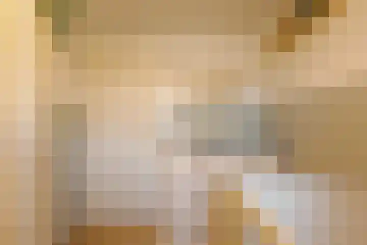den Dam 6 Roden thumbnail 39