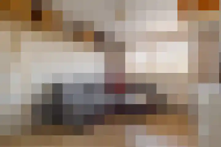 den Dam 6 Roden thumbnail 40