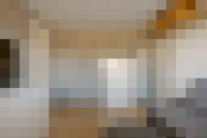 den Dam 6 Roden thumbnail 41