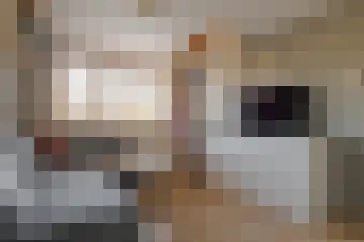 den Dam 6 Roden thumbnail 42
