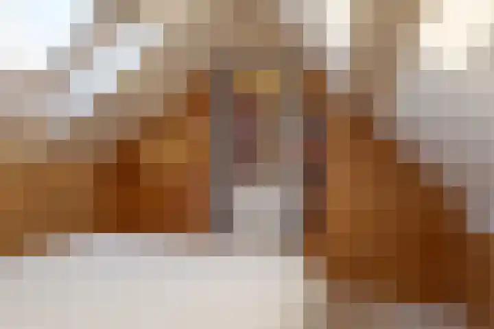 den Dam 6 Roden thumbnail 44