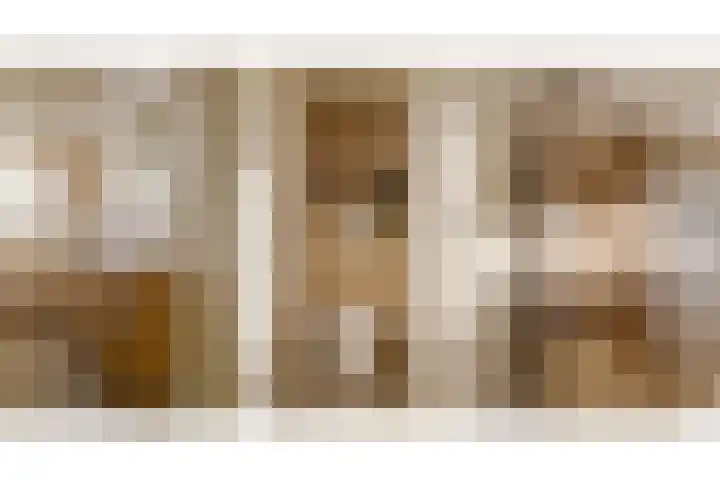 den Dam 6 Roden thumbnail 46