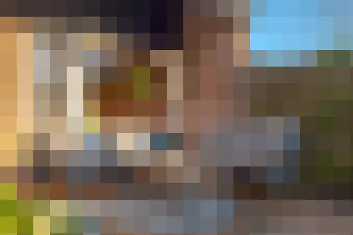 den Dam 6 Roden thumbnail 49