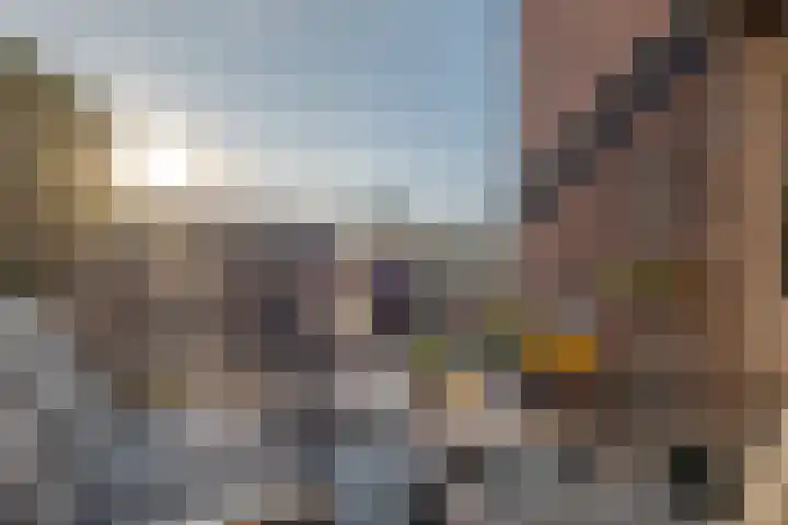 den Dam 6 Roden thumbnail 5