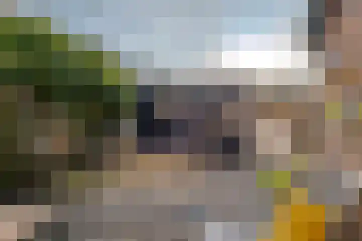 den Dam 6 Roden thumbnail 50