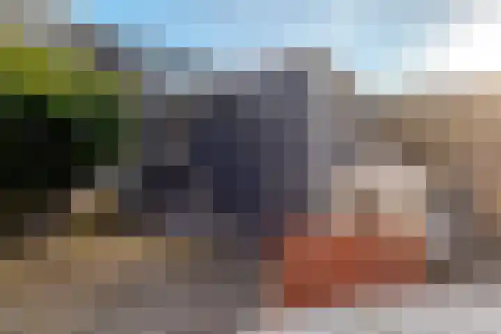 den Dam 6 Roden thumbnail 51