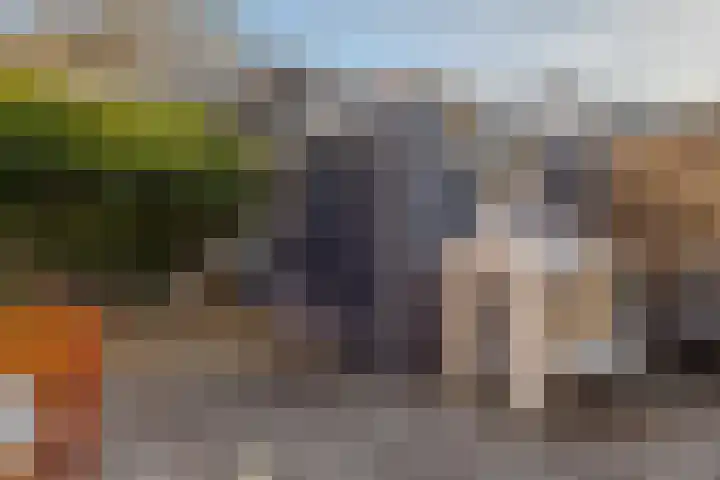 den Dam 6 Roden thumbnail 53