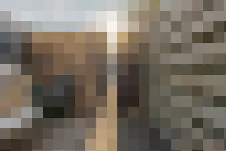 den Dam 6 Roden thumbnail 54