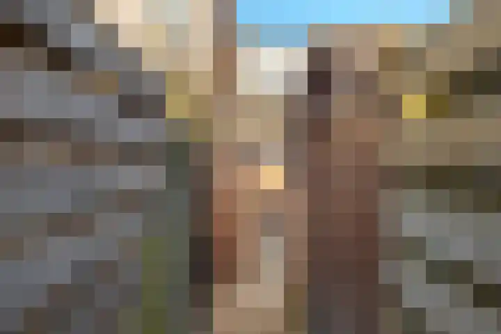 den Dam 6 Roden thumbnail 55