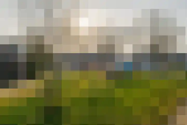 den Dam 6 Roden thumbnail 56