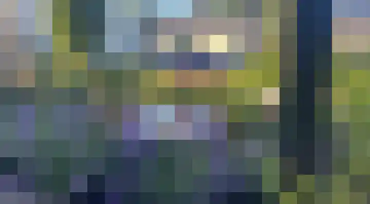 den Dam 6 Roden thumbnail 57