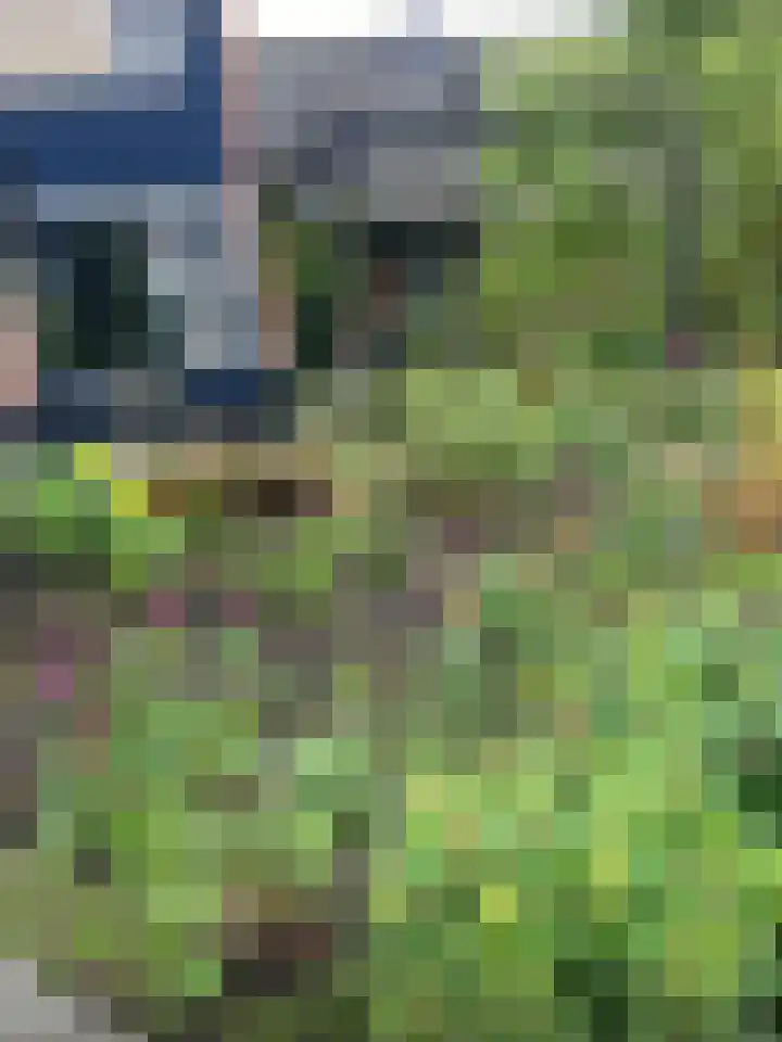 den Dam 6 Roden thumbnail 58