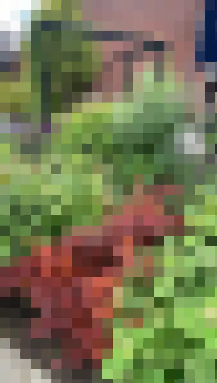 den Dam 6 Roden thumbnail 59