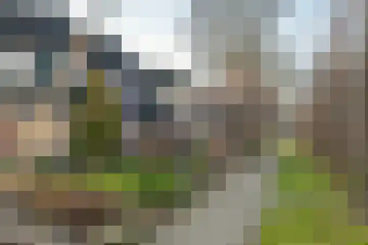 den Dam 6 Roden thumbnail 8