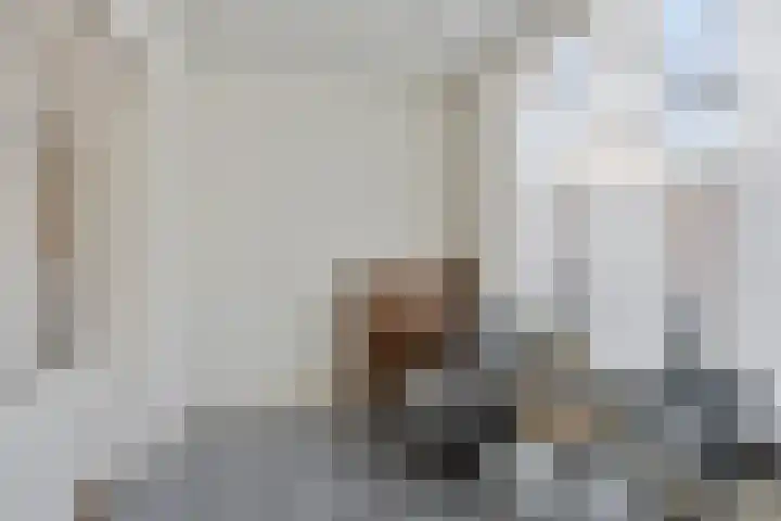 den Deel 3 Reusel thumbnail 13
