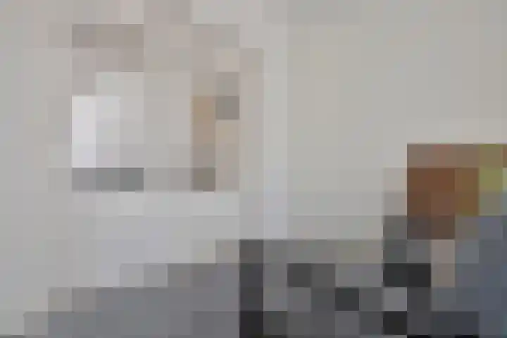 den Deel 3 Reusel thumbnail 14