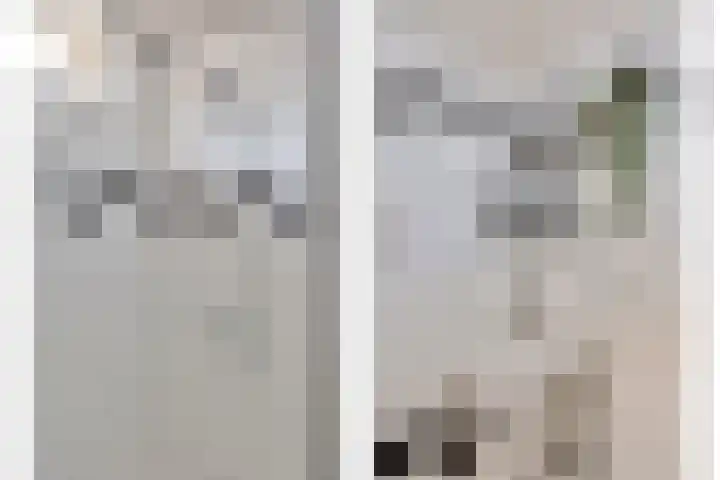 den Deel 3 Reusel thumbnail 25