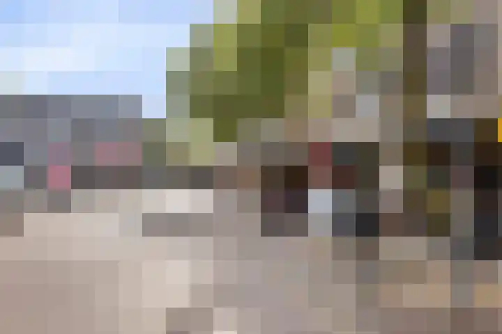 den Deel 3 Reusel thumbnail 40