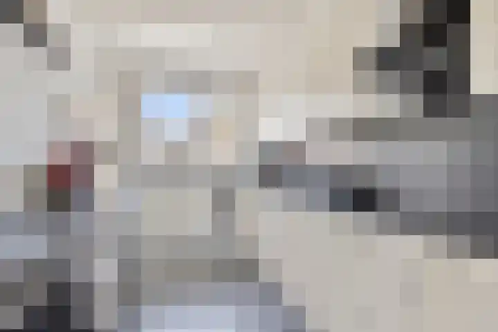 den Deel 3 Reusel thumbnail 6