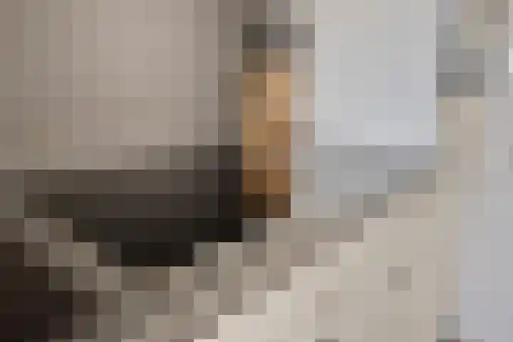 den Deel 3 Reusel thumbnail 7