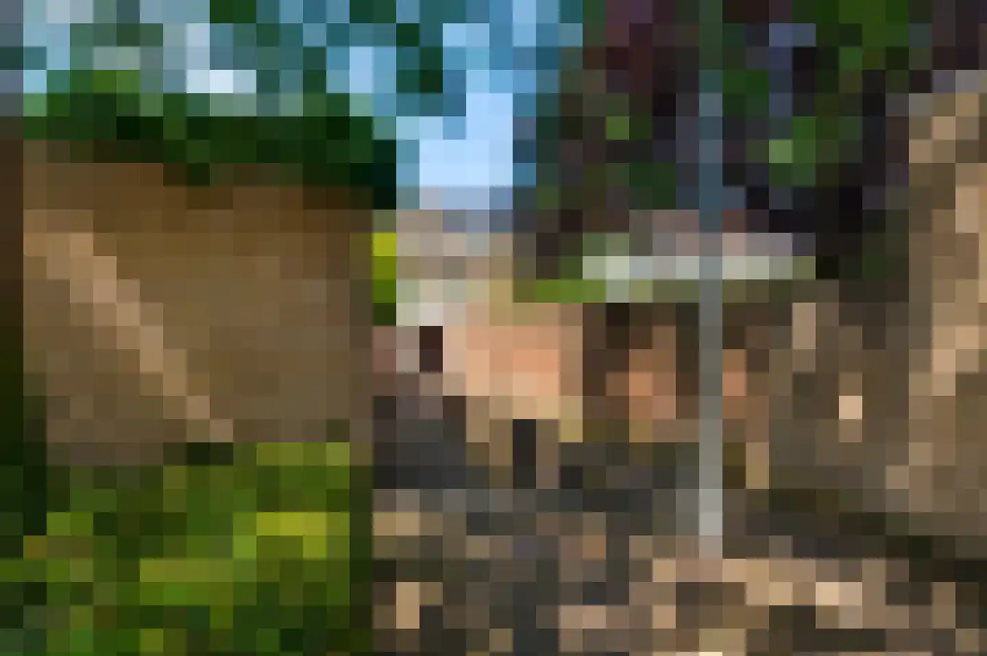 Den Deken 51 Maastricht thumbnail 7