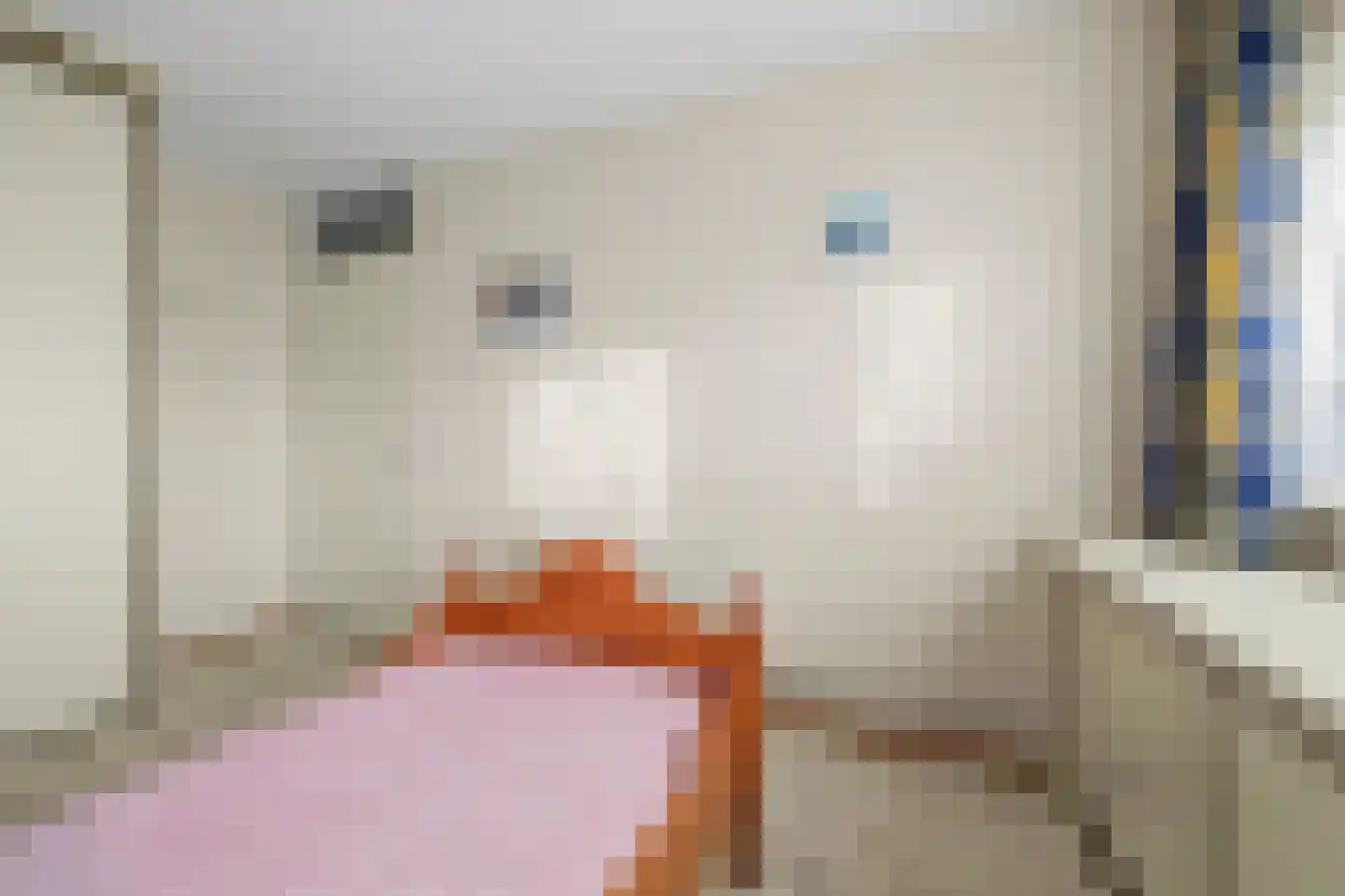 den Doolaardstraat 31 Oud-Beijerland thumbnail 13