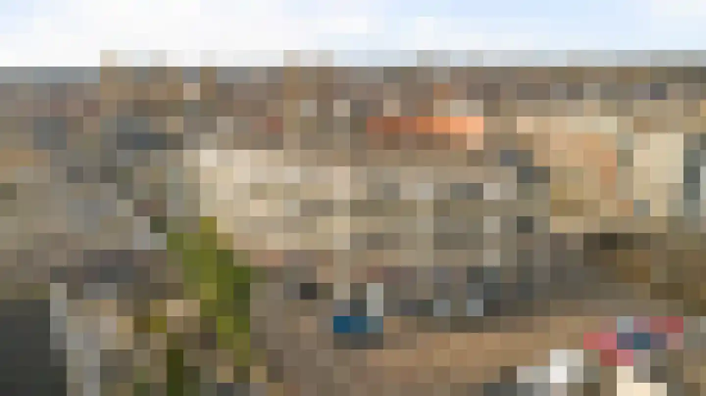 den Doolaardstraat 31 Oud-Beijerland thumbnail 24