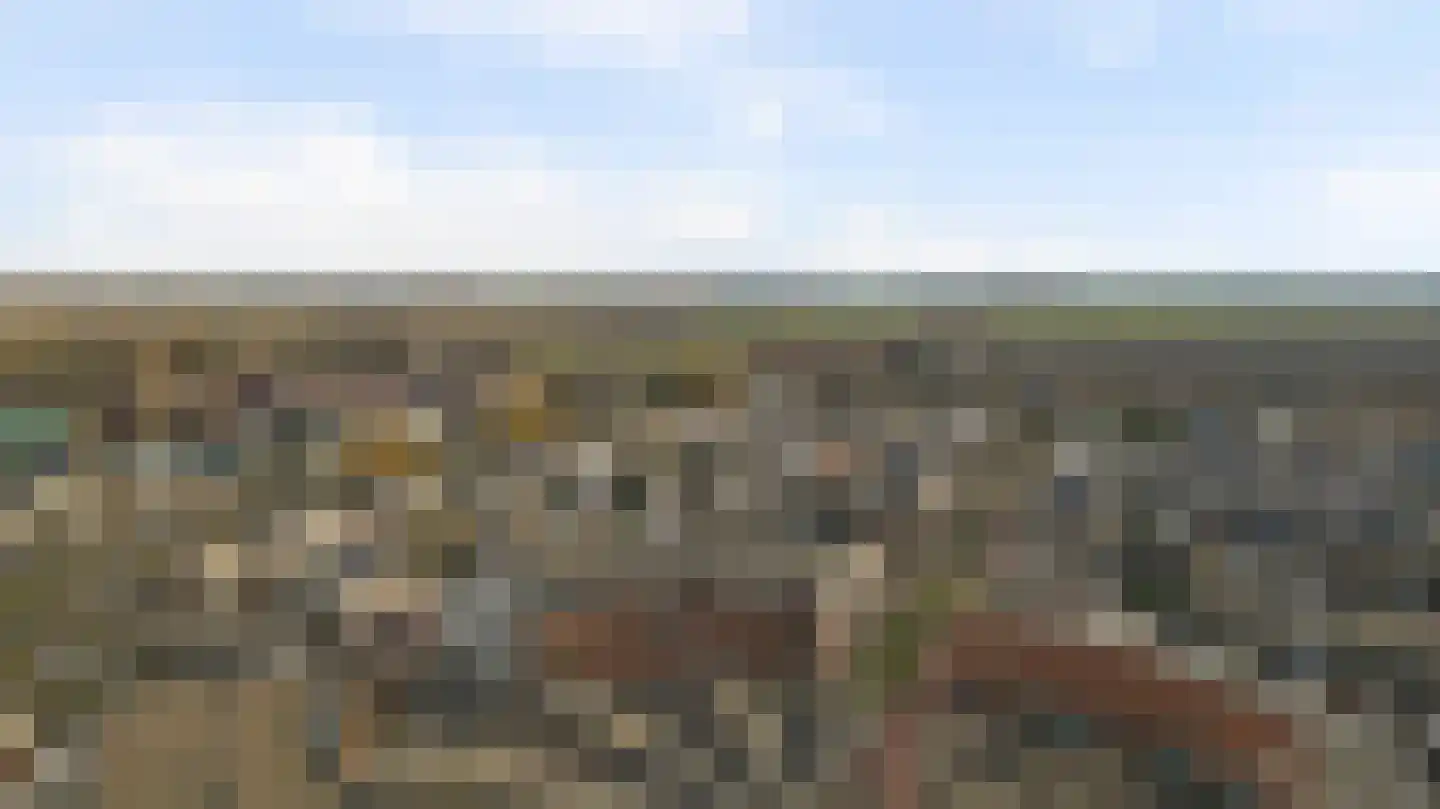 den Doolaardstraat 31 Oud-Beijerland thumbnail 25